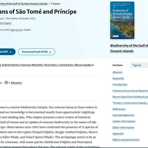 Resources-Cetaceans-of-Sao-Tome-and-Principe